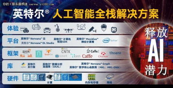 深化創(chuàng)新合作 英特爾加速人工智能應(yīng)用軟件開發(fā)新進程